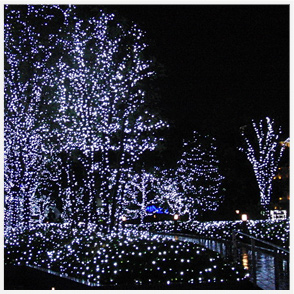 イルミネーション写真2