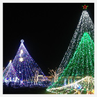 イルミネーション写真3