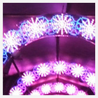 イルミネーション写真5