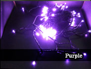 パープル