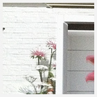 プロジェクションマッピング横面